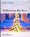 A Christmas Eve Love