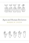 Apes and Human Evolution