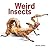 Weird Insects