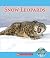 Snow Leopards
