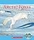 Arctic Foxes