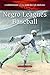 Negro Leagues Baseball (Landmarks of the American Mosaic)