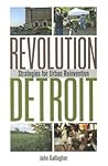 Revolution Detroit: Strategies for Urban Reinvention (Painted Turtle Press)