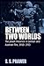Between Two Worlds: The Jewish Presence in German and Austrian Film, 1910-1933 (Film Europa, 3)