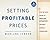 Setting Profitable Prices + Website: A Step-By-Step Guide to Pricing Strategy--Without Hiring a Consultant