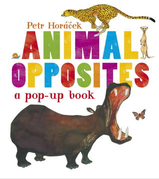 Animal Opposites (Hardcover)