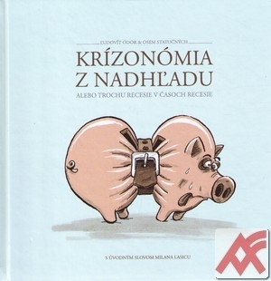 Krízonómia z nadhľadu