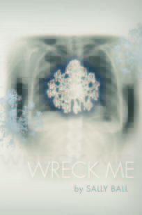 Wreck Me