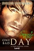 One Bad Day: A Theo Bourne Story
