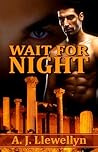 Wait for Night by A.J. Llewellyn