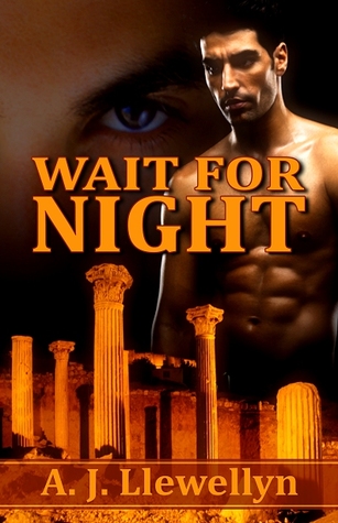 Wait for Night (Kindle Edition)