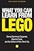 What You Can Learn From LEGO