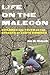 Life on the Malecón: Children and Youth on the Streets of Santo Domingo (Rutgers Series in Childhood Studies)