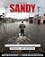 Sandy: A Story of Complete ...