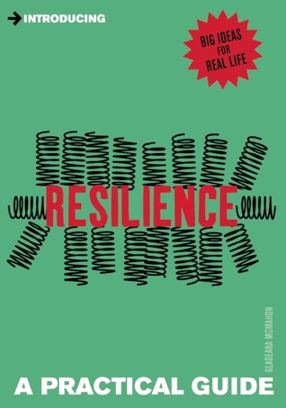 Introducing Resilience: A Practical Guide