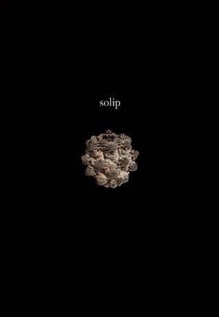 Solip (Paperback)