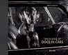 The Silence of Dogs in Cars The Silence of Dogs in Cars