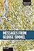 Messages from George Simmel (Studies in Critical Social Sciences)
