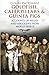 Goldfish Caterpillars & Guinea Pigs: Accounts of Pilots and Air Crews from World War II
