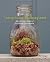 Terrariums Reimagined: Mini...