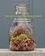 Terrariums Reimagined by Kat Geiger