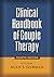 Clinical Handbook of Couple Therapy
