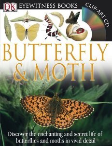 DK Eyewitness Books: Butterfly and Moth