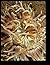 Sea Anenomes