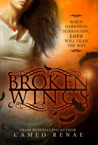Broken Wings (Hidden Wings, #2)