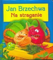Na straganie (Hardcover)