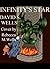 Infinity's Star by David S. Wells