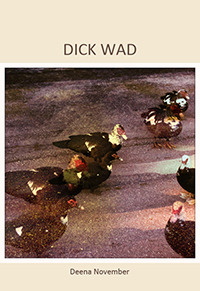 Dick Wad (Paperback)