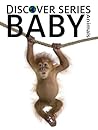 Baby Animals