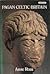 Pagan Celtic Britain by Anne Ross