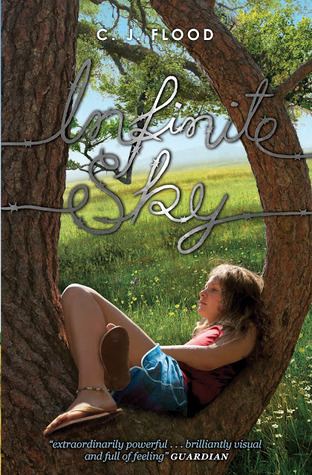 Infinite Sky Infinite Sky 1 By C J Flood