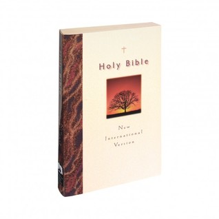Bible NIV International (Paperback)