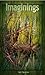 Imaginings