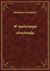 W malinowym chruśniaku