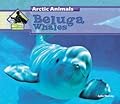 Beluga Whales