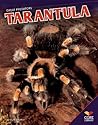 Tarantula (Great Predators)