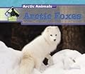Arctic Foxes