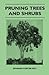 Pruning Trees and Shrubs