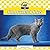 Chartreux Cats (Cats Set 7)