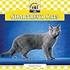 Chartreux Cats (Cats Set 7)