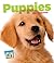 Puppies (Baby Animals)
