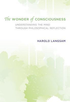 The Wonder of Consciousness: Understanding the Mind Through Philosophical Reflection (Hardcover)