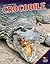 Crocodile (Great Predators)