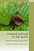Created and Led by the Spirit: Planting Missional Congregations (Missional Church Series)