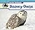 Snowy Owls (Arctic Animals)