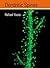 Dendritic Spines by Rafael Yuste